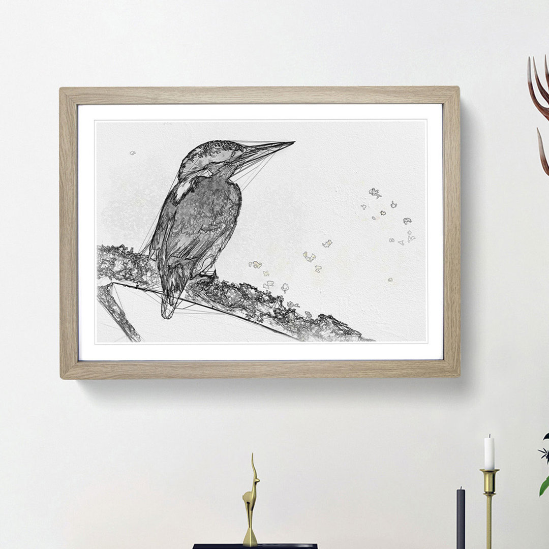 Kingfisher Bird on a Branch - Picture Frame Graphic Art Print