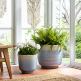 Ceramic Stoneware Planter Pots With Drainage Holes And Glossy Glazed Finish Set Of 2