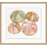 Urchin Quad 1 Painting