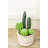 10.5'' Faux Succulent Plant in Ceramic Pot