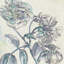 Belle Fleur I, impression sur toile tendue-18746483-74260585-74260587