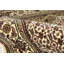 Oriental Area Rug