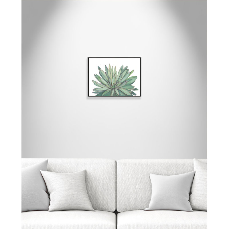 «Succulent - Floater Frame», reproduction d'art sur toile, H 18 po x l 24 po x P 2 po, Encadrement argenté