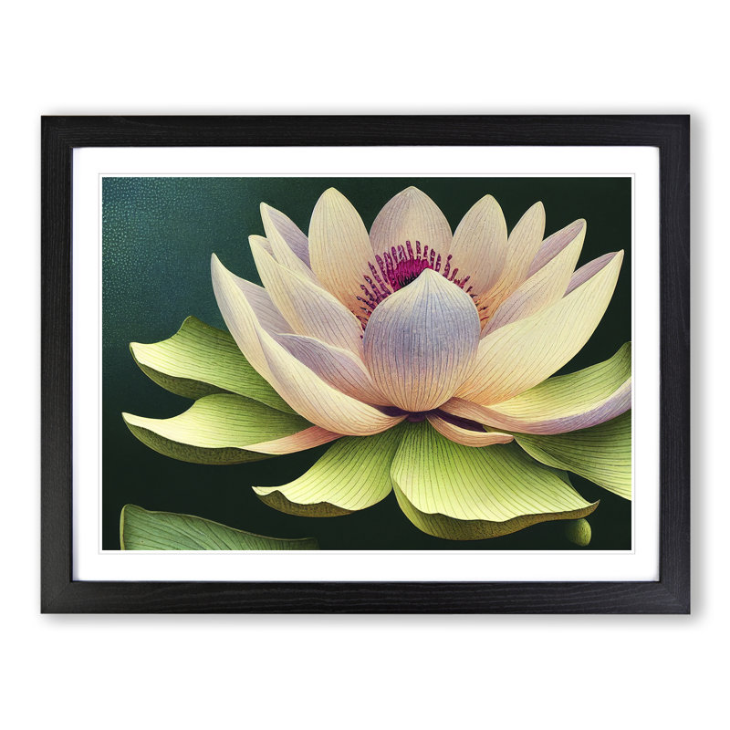 XH1022-7119X Precious Lotus Flower - Single Picture Frame Print, Black Framed, 46cm H x 64cm W x 2cm D