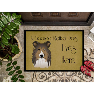 Paillasson d’extérieur antidérapant walstonburg Sheltie