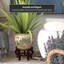 Satsuma Garden & Peacock Porcelain Fishbowl-13988891-86176742