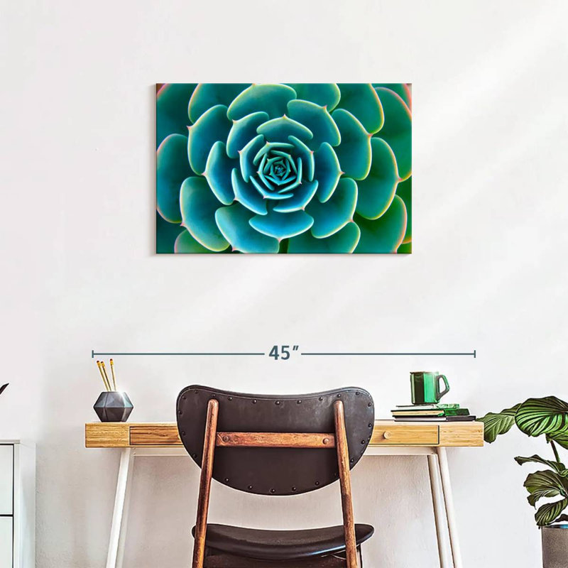 «Live Succulent», reproduction sur toile, H 20 po x l 30 po x P 1,25 po