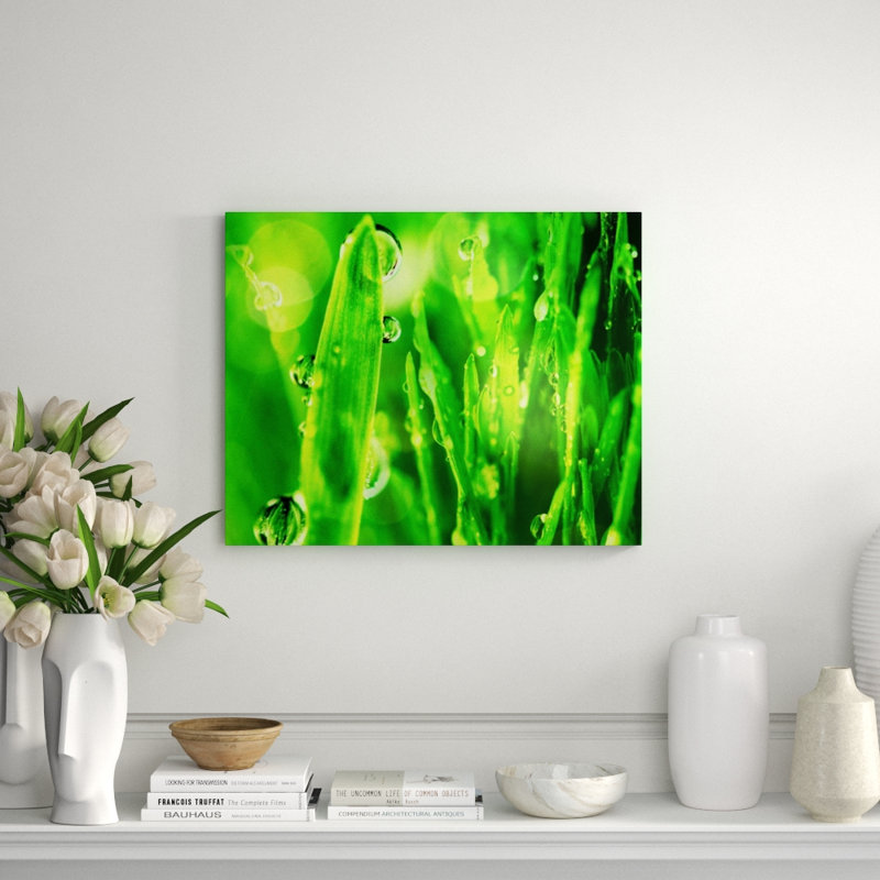 Macro Grass I Print by Chelsea Art Studio, Outdoor, 40" H x 50" W x 1.5" D