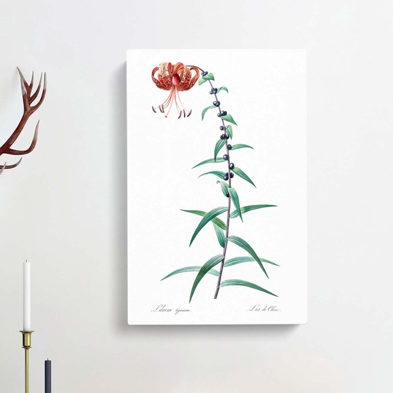 Tiger Lily Flower by Pierre-Joseph Redoute - Wrapped Canvas Painting, 50cm H x 35cm W x 3cm D