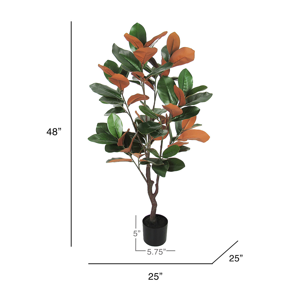 Faux Magnolia Plant in Pot, 48" H x 25" W x 25" D