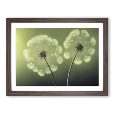 Soulful Dandelion Flowers - Single Picture Frame Print