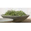 Zen Planter-24768427-24768416