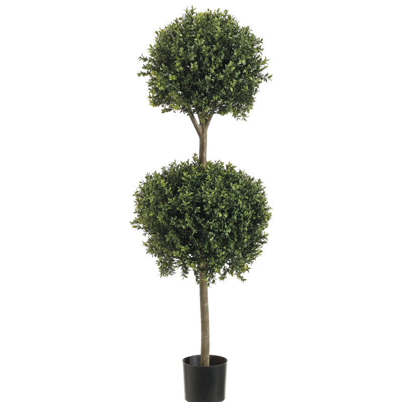Topiaire de buisson rond en pot