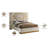 Upholstered Platform Bed-1195171722-1195171717