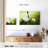 Sireci Golf Ball Position-108726694