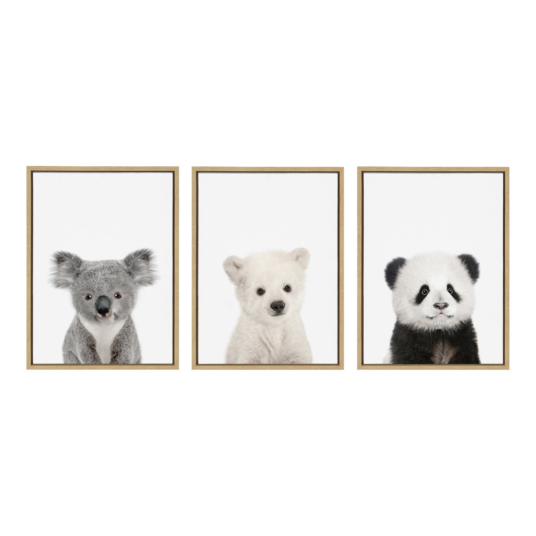 Kiranveer 'Baby Polar Bear/Baby Panda Bear/Baby Koala Bear' by Amy Peterson- 3 Piece Floater Frame Photograph Print Set on Canvas Trinx 