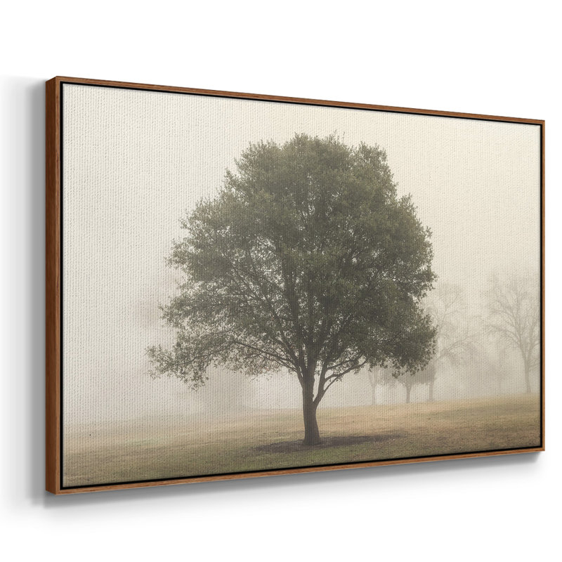 «Trees in the Fog I», reproduction encadrée sur toile, H 17 po x l 25 po x P 2 po, Noyer