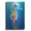 «Seahorse - Rainbow» par Dawg Painter, art mural en métal-212029692