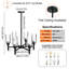 Chandelier with Glass Accents-42653588-42653587-42653590