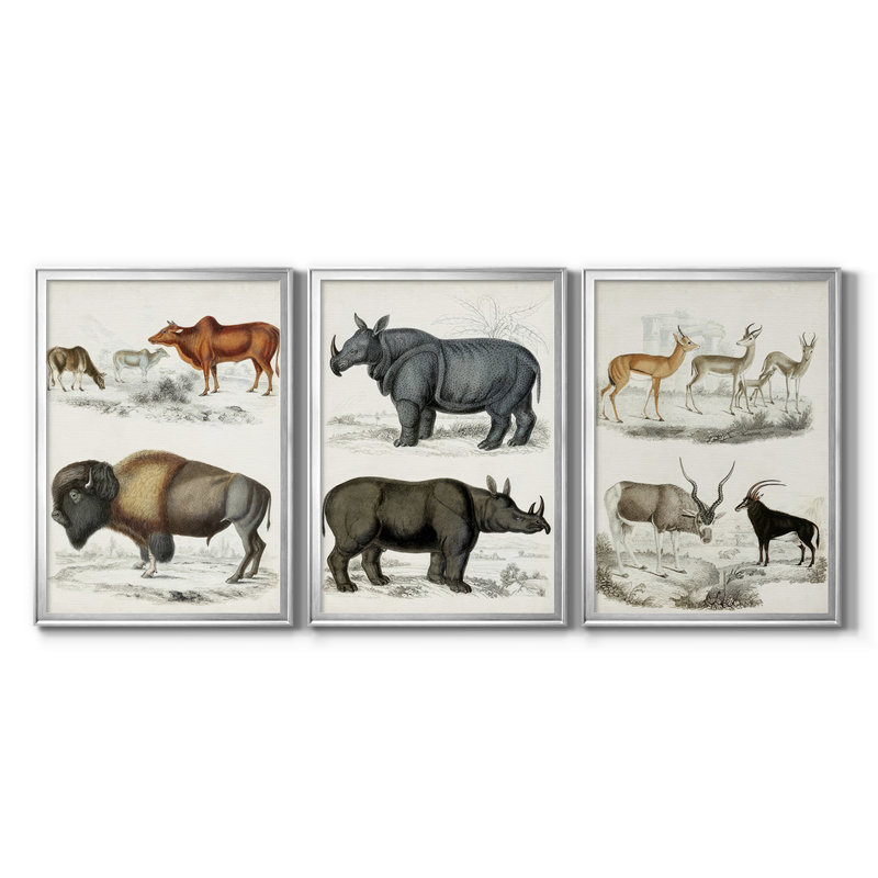 Journal of Natural History VII - Toile tendue avec châssis sur mesure - 3 pièces, H 21 po x l 30 po