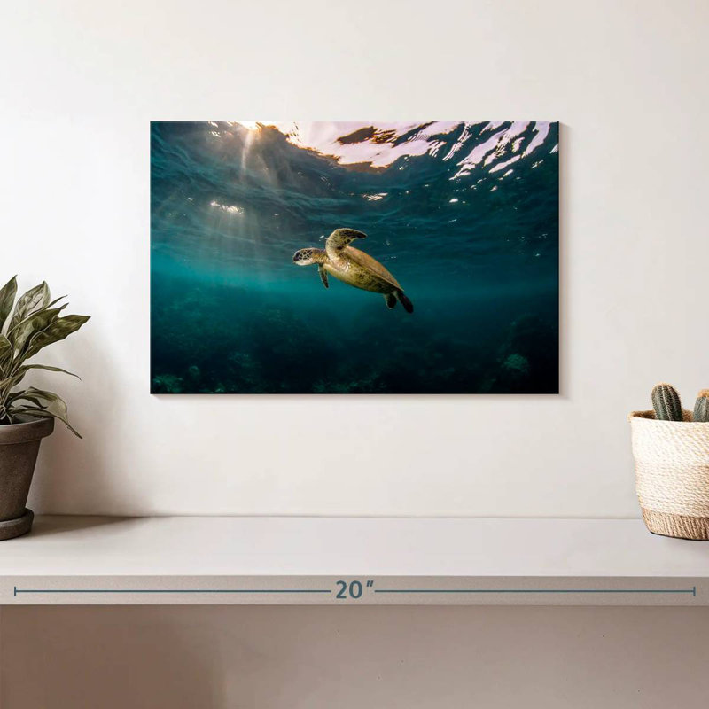 Ningaloo Reef Sea Turtle, 8" H x 12" W
