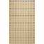 Plaid Area Rug in Beige