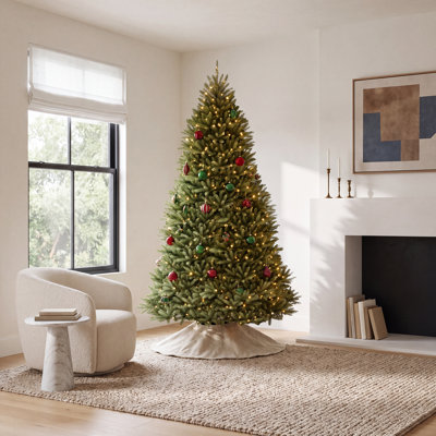 Dunhill Fir Fir Tree