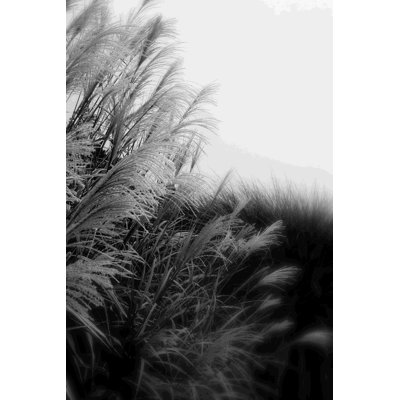 " Landscape 182 " by DAG, Inc