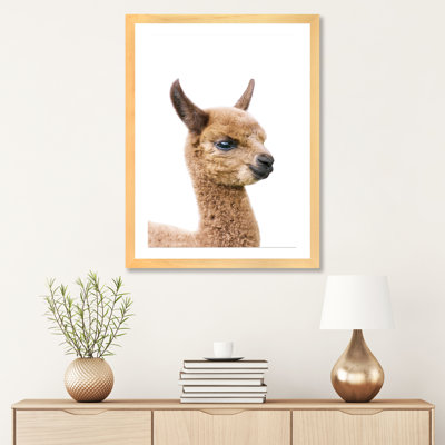 «Baby Llama» par Sissi & Seb - reproduction de photo