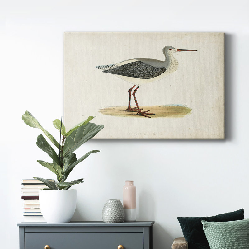 Morris Sandpipers I - impression sur toile tendue, L 18 po x H 12 po