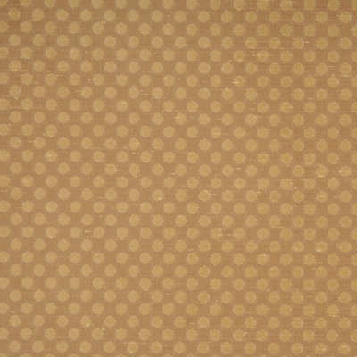 Dream Fabric