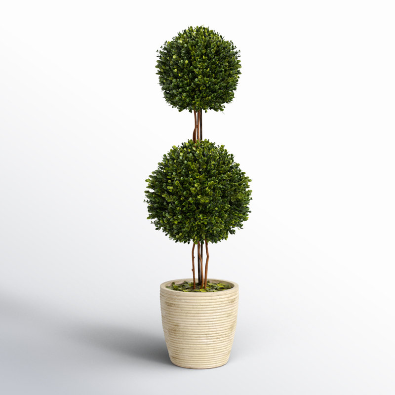 Boxwood Topiary in Ceramic Decorative Vase, 28" H x 8.5" W x 8.5" D