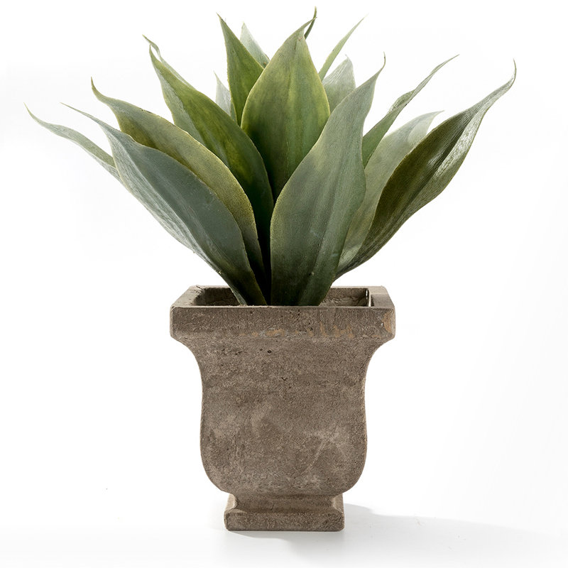 Plante succulente artificielle en pot 7,4 po
