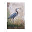 «Heron in the Reeds» par Jean Plout - impression sur toile-31333171