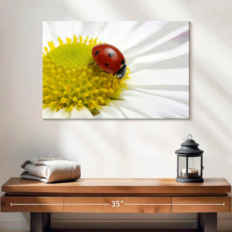 Coccinelle sur camomille, H 16 po x l 24 po