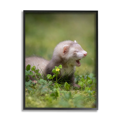 Ba-371-Framed " Baby Ferret In Grass " by Darya Zelentsova