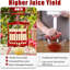 3.17 Gallon(12L) Wood Manual Fruit Wine Press- Multi-Purpose Press for Cider, Honey, Olive Oil & Vegetables - Ergonomic T-Handle & Stable Triangular Base - Indoor/Outdoor Kitchen Use