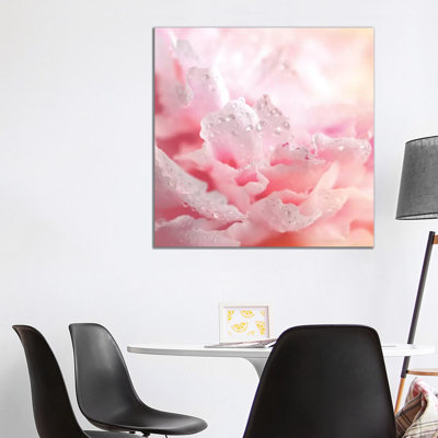 Peony Frills - Wrapped Canvas Print