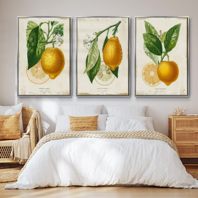Citron français I 3 pièces