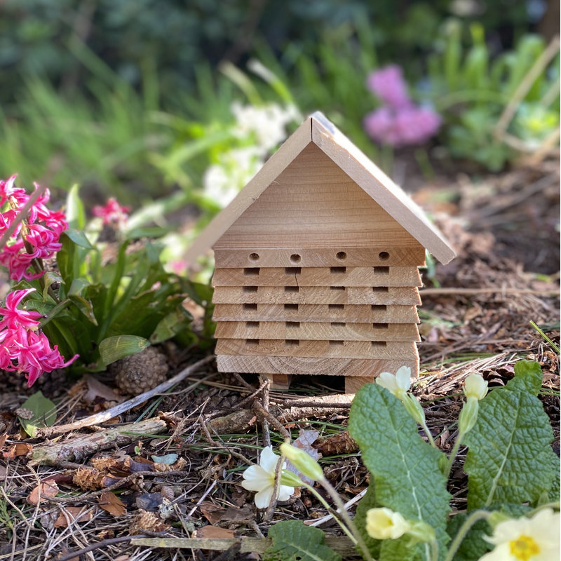 Izaguirre Freestanding Bumblebee House