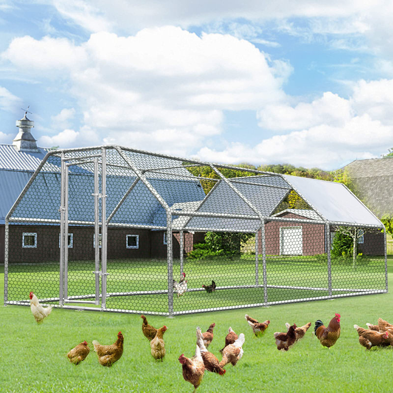 Poulailler  pour 15 à 20 poulets