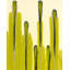 Raindrops Defined Painting by Blakely Bering-26926747-26926748