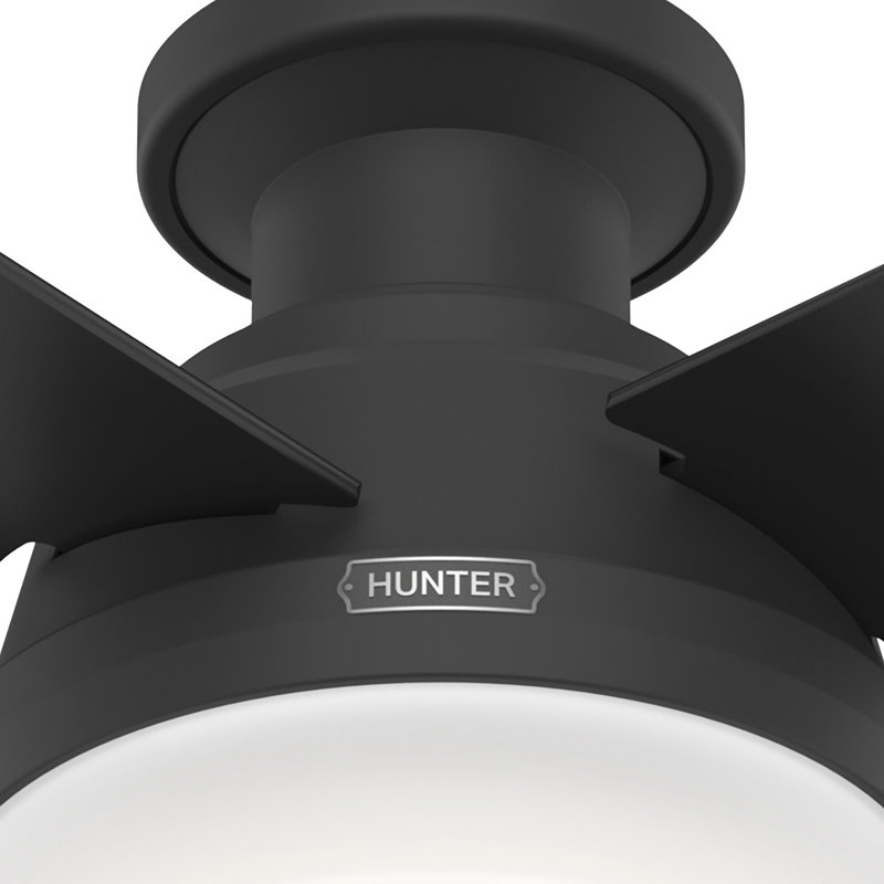 Ventilateur de plafond avec lumières DEL Pollman, Noir mat