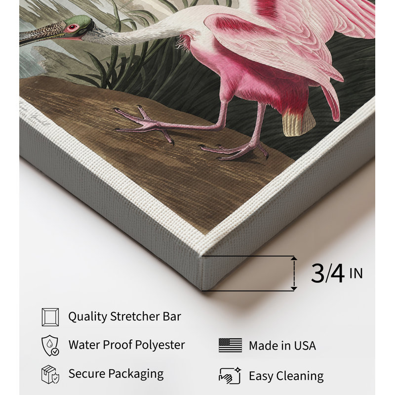 John James Audubon - spatule rosée, Unframed, Canvas, 18"H x 24"W