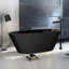Sophia 67.7'' L Soaking Bathtub-131120769