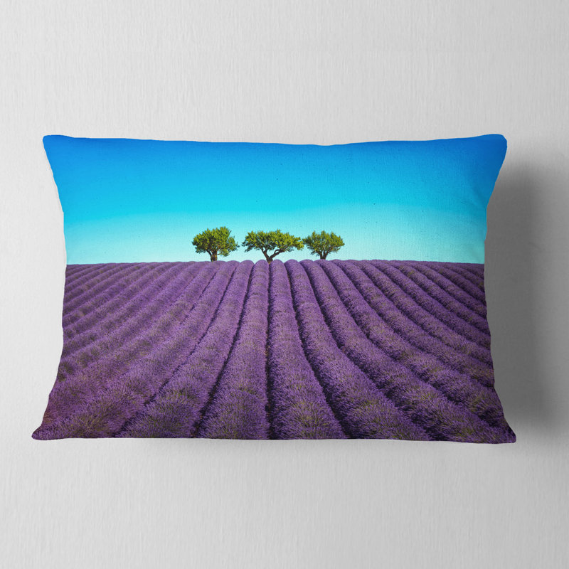 Coussin lombaire Schafer