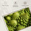 Broccoli Romanesco frais-607761593