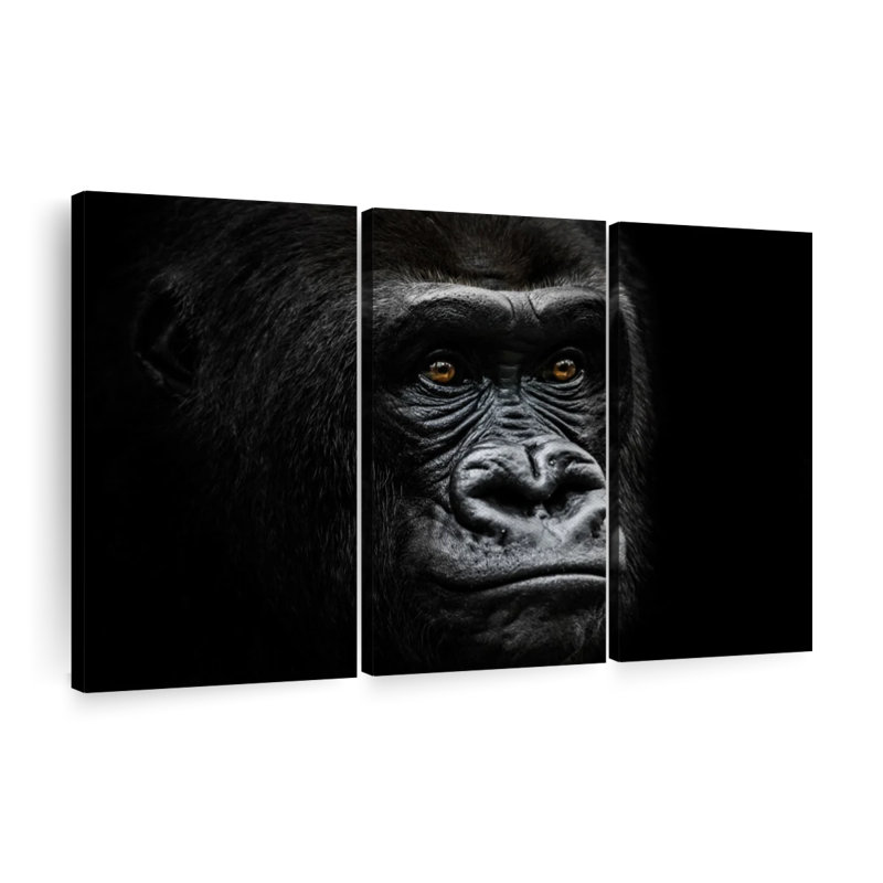 «Gorilla Portrait Close Up», reproduction sur toile, H 32 po x l 50 po