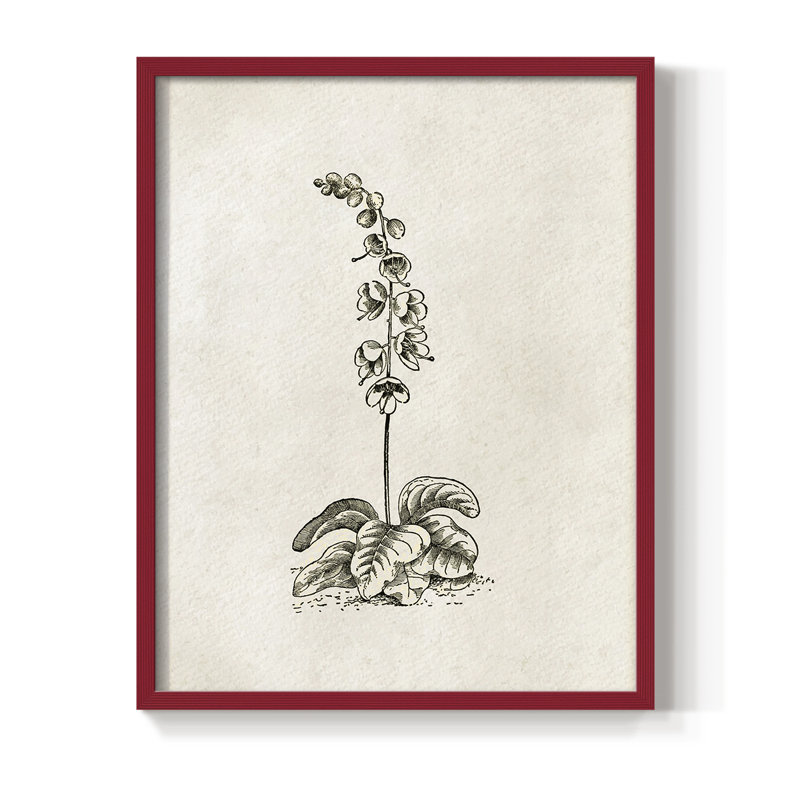 Impression florale vintage encadrée CECXIX - bois massif, H 30 po x l 24 po, Rouge