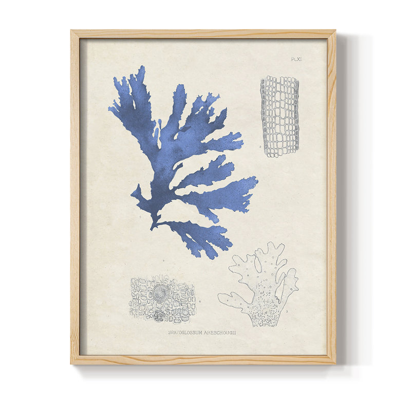Blue Marine Algae VIII Framed Print - Solid Wood, 15" H x 12" W